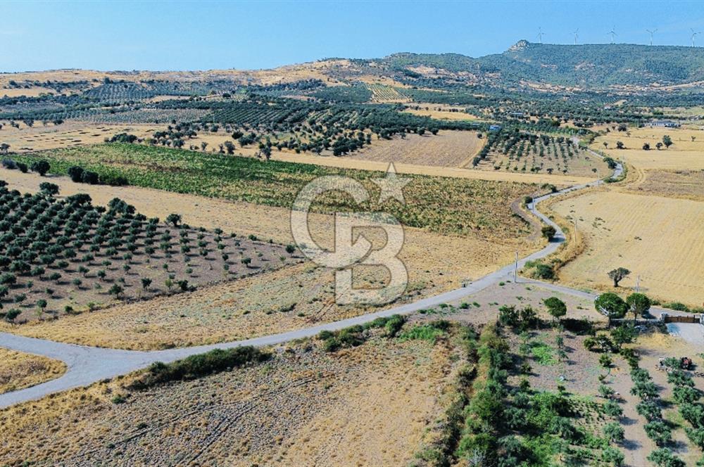 Foça Kocamehmetler Mah. Satılık Tek Tapu Tarla