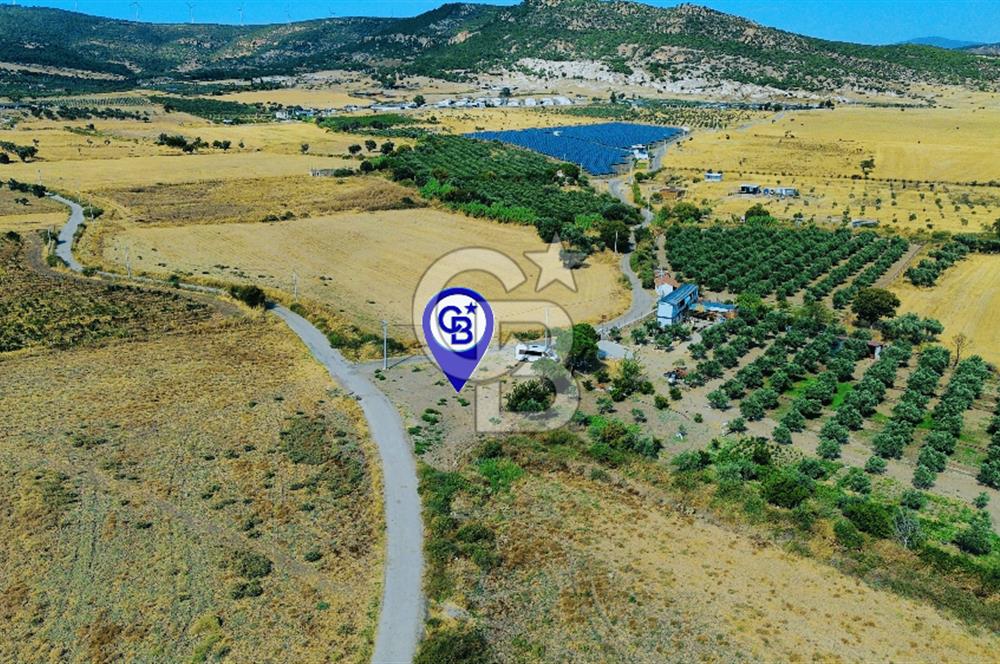 Foça Kocamehmetler Mah. Satılık Tek Tapu Tarla