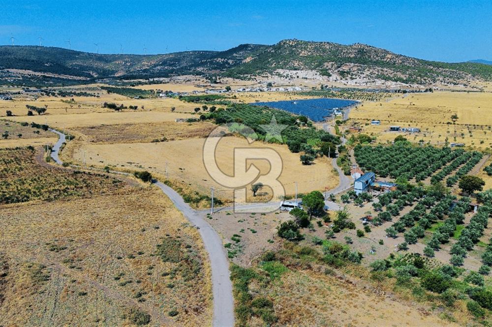 Foça Kocamehmetler Mah. Satılık Tek Tapu Tarla