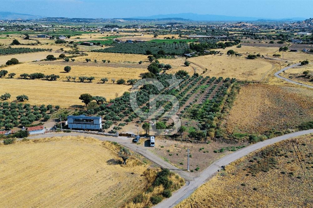 Foça Kocamehmetler Mah. Satılık Tek Tapu Tarla