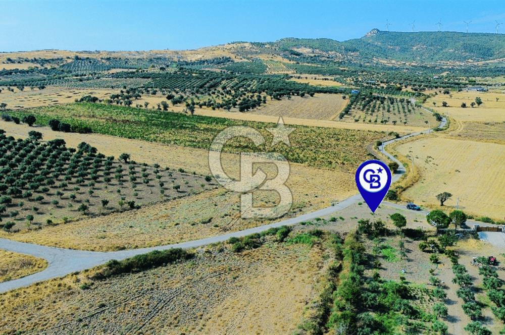 Foça Kocamehmetler Mah. Satılık Tek Tapu Tarla