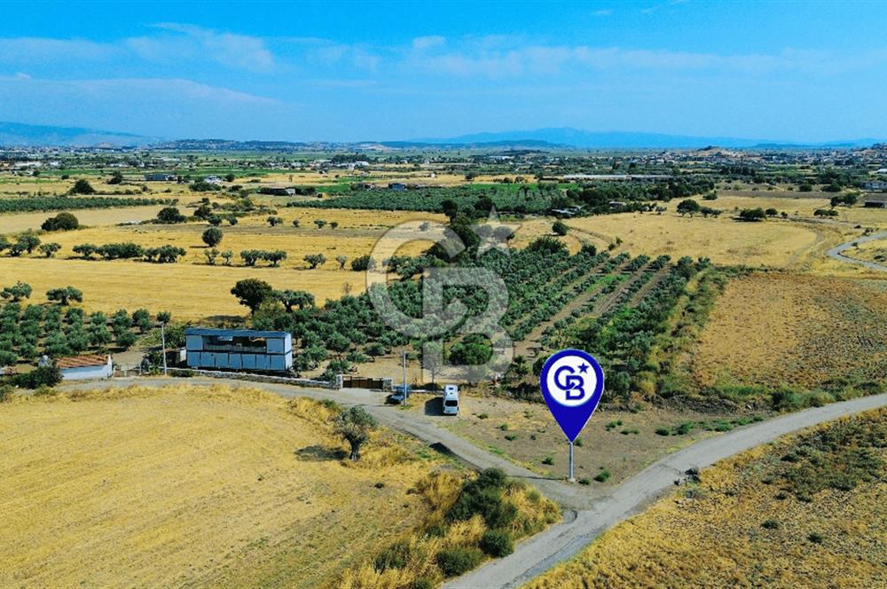 Foça Kocamehmetler Mah. Satılık Tek Tapu Tarla