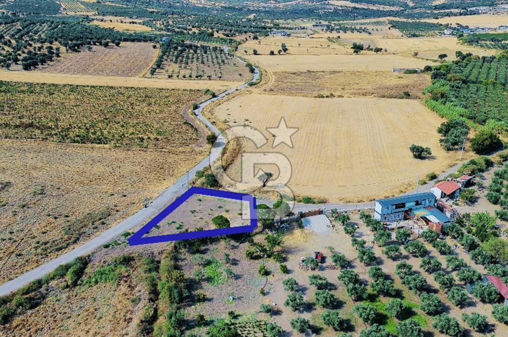 Foça Kocamehmetler Mah. Satılık Tek Tapu Tarla