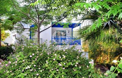 BODRUM'UN İNCİSİ CLUB DEDEMAN DA ÖMÜR BOYU TATİL FIRSATI