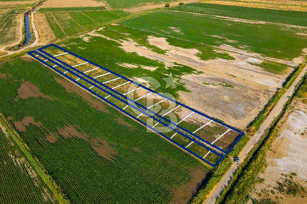 Foça Yenibağarası'nda Satılık Hisseli Tarla