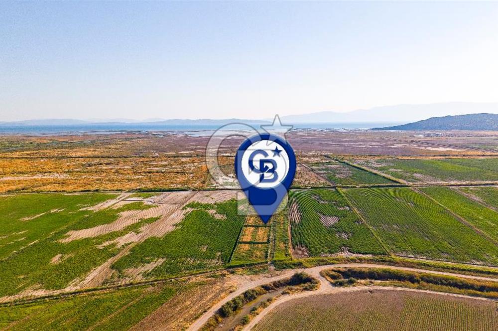 Foça Yenibağarası'nda Satılık Hisseli Tarla