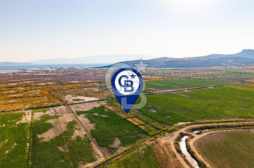 Foça Yenibağarası'nda Satılık Hisseli Tarla