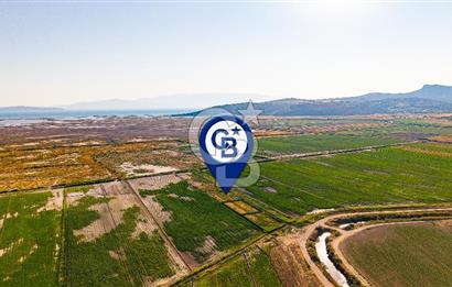 Foça Yenibağarası'nda Satılık Hisseli Tarla