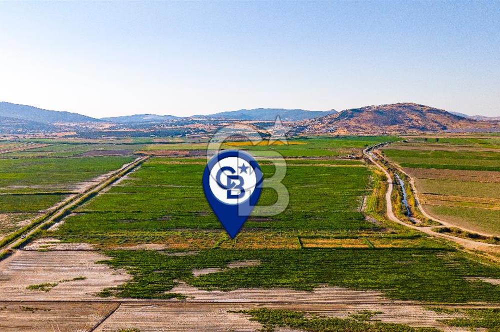 Foça Yenibağarası'nda Satılık Hisseli Tarla