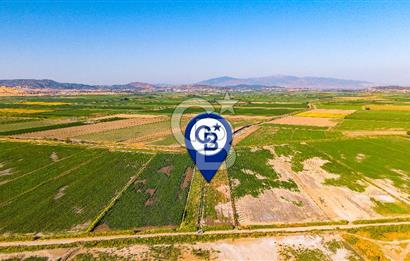 Foça Yenibağarası'nda Satılık Hisseli Tarla