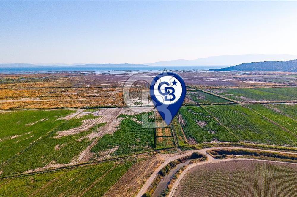 Foça Yenibağarası'nda Satılık Hisseli Tarla