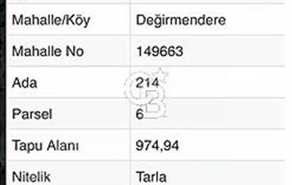 Sakarya Erenler'de Satılık 974m² Köy İçi İmarlı Fındık Bahçesi