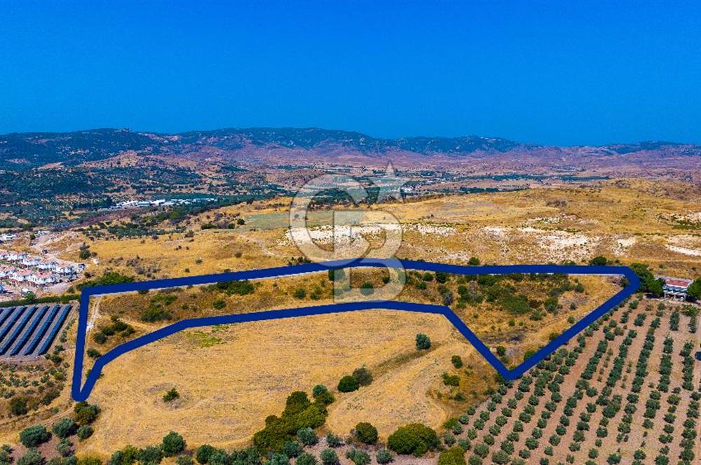 FOÇA KOCAMEHMETLERDE 325M ANA YOL CEPHELİ 12.641 M² ÖZEL ARAZİ