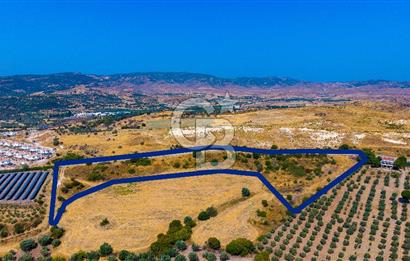 FOÇA KOCAMEHMETLERDE 325M ANA YOL CEPHELİ 12.641 M² ÖZEL ARAZİ