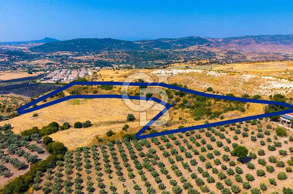 FOÇA KOCAMEHMETLERDE 325M ANA YOL CEPHELİ 12.641 M² ÖZEL ARAZİ