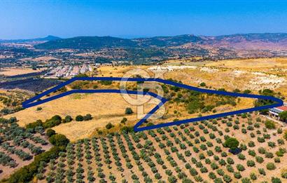 FOÇA KOCAMEHMETLERDE 325M ANA YOL CEPHELİ 12.641 M² ÖZEL ARAZİ