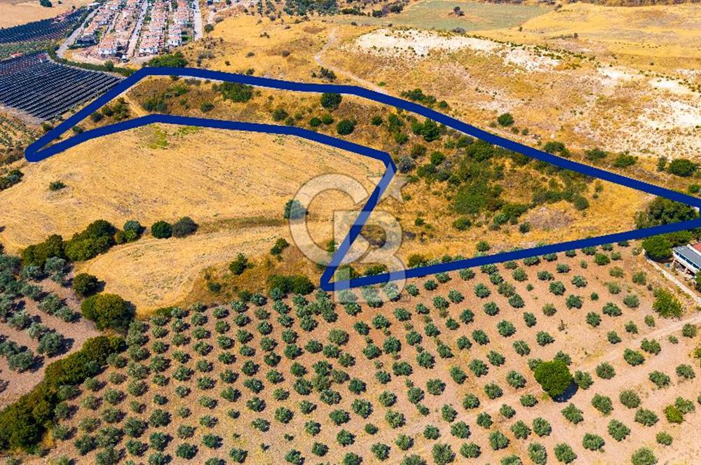 FOÇA KOCAMEHMETLERDE 325M ANA YOL CEPHELİ 12.641 M² ÖZEL ARAZİ