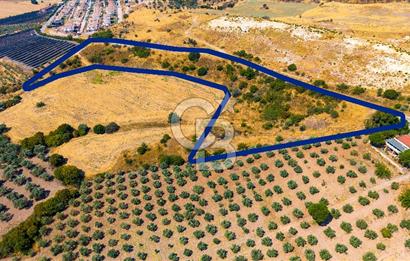 FOÇA KOCAMEHMETLERDE 325M ANA YOL CEPHELİ 12.641 M² ÖZEL ARAZİ