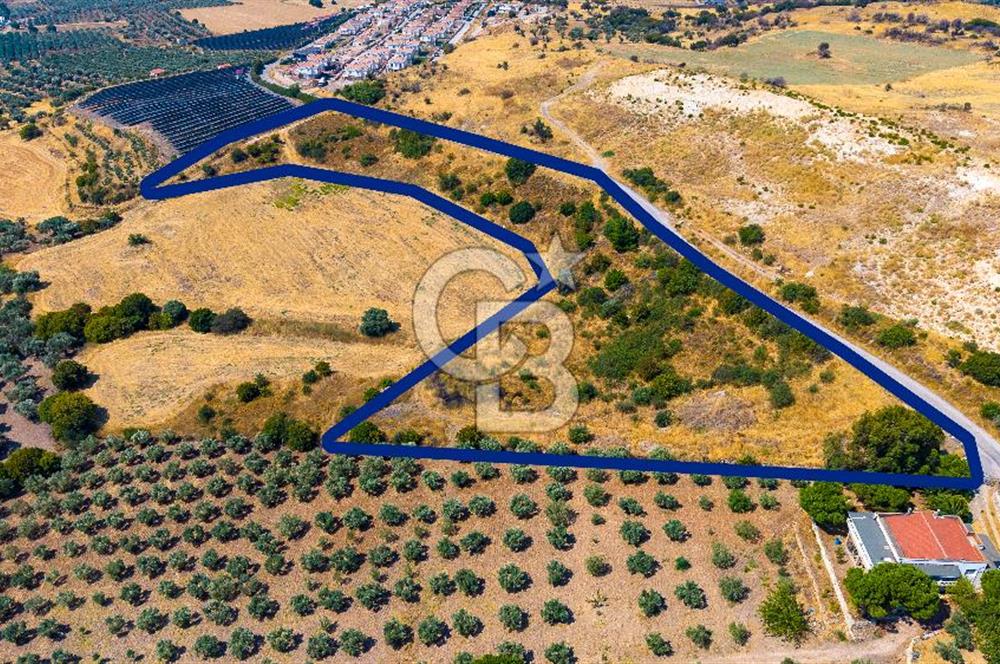 FOÇA KOCAMEHMETLERDE 325M ANA YOL CEPHELİ 12.641 M² ÖZEL ARAZİ