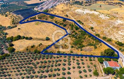 FOÇA KOCAMEHMETLERDE 325M ANA YOL CEPHELİ 12.641 M² ÖZEL ARAZİ