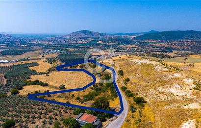 FOÇA KOCAMEHMETLERDE 325M ANA YOL CEPHELİ 12.641 M² ÖZEL ARAZİ
