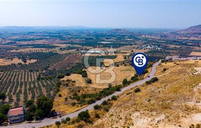 FOÇA KOCAMEHMETLERDE 325M ANA YOL CEPHELİ 12.641 M² ÖZEL ARAZİ