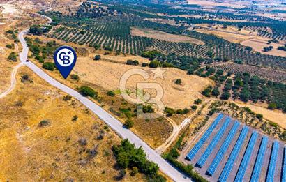 FOÇA KOCAMEHMETLERDE 325M ANA YOL CEPHELİ 12.641 M² ÖZEL ARAZİ