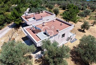 Karaburun Kösedere'de 1.731 m2 Arazi İçinde 2 Adet Yazlık Ev - 1 - 368030