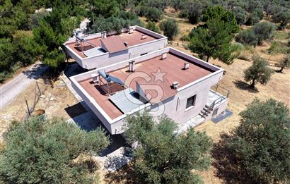 Karaburun Kösedere'de 1.731 m2 Arazi İçinde 2 Adet Yazlık Ev