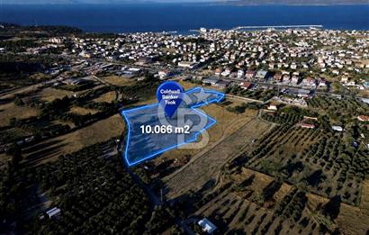 Karaburun Mordoğan'da Yola 100m Cepheli 10.066 m2 Satılık Tarla