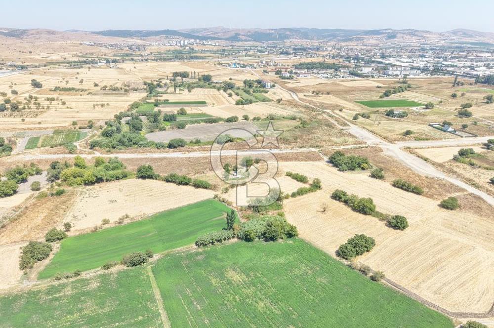 CB KİNGDEN PAŞAALANI MAH. 518 m² 3 KAT KONUT İMARLI ARSA