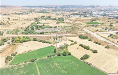 CB KİNGDEN PAŞAALANI MAH. 518 m² 3 KAT KONUT İMARLI ARSA