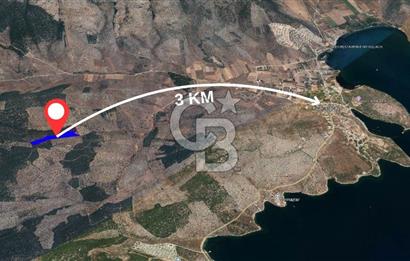 Milas Kıyıkışlacık Satılık Zeytinlik
