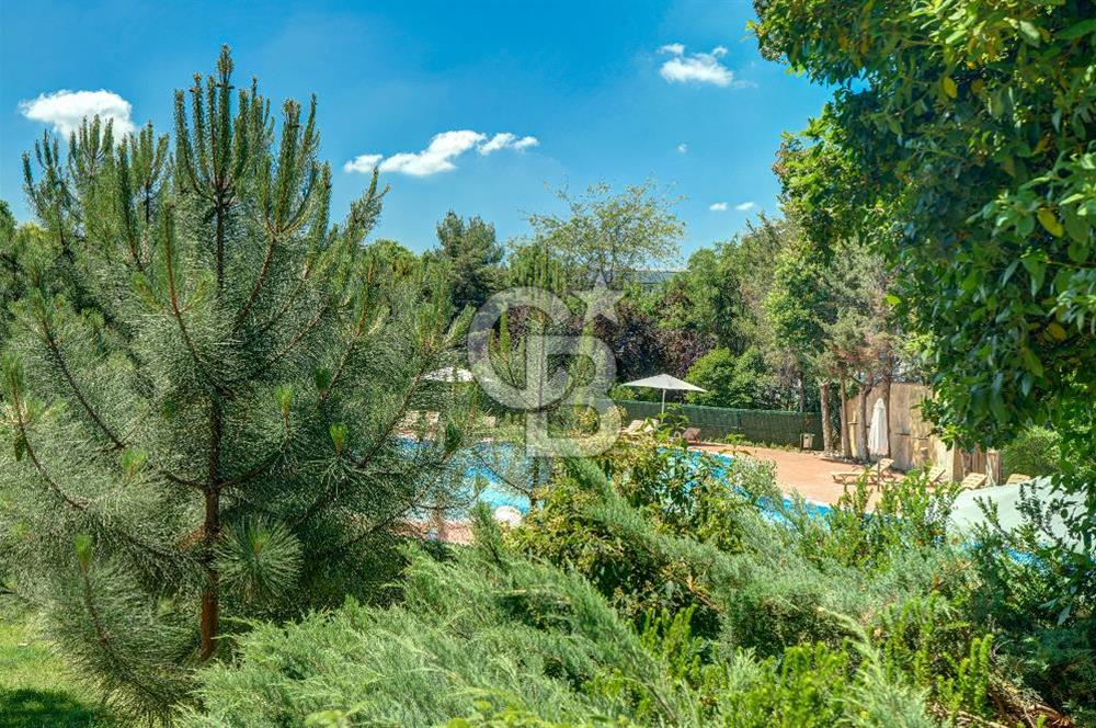 Çamlıca Sarı Konaklar Sitesinde Kiralık 3+1 Daire