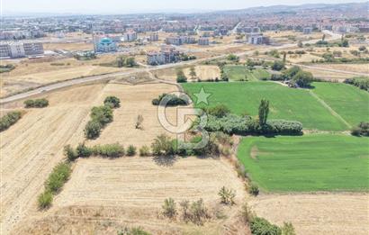 CB KİNGDEN PAŞAALANI MAH. 518 m² 3 KAT KONUT İMARLI ARSA