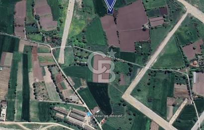 CB KİNGDEN PAŞAALANI MAH. 518 m² 3 KAT KONUT İMARLI ARSA