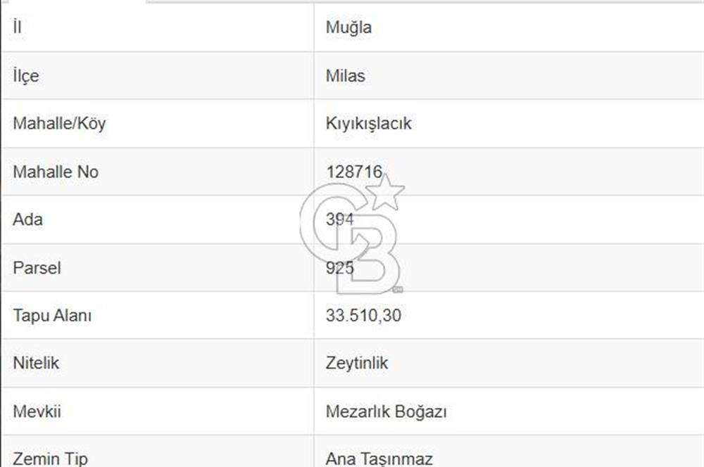 Milas Kıyıkışlacık Satılık Zeytinlik