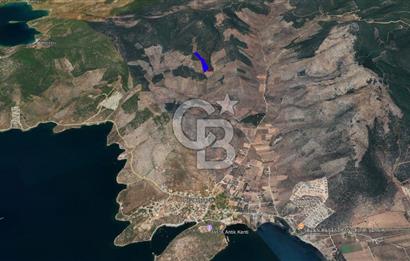 Milas Kıyıkışlacık Satılık Zeytinlik