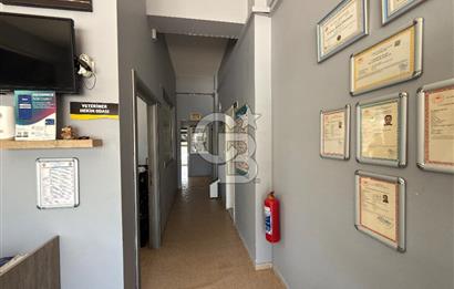 Hazır müşteriyle tam donanımlı devren kiralık veteriner