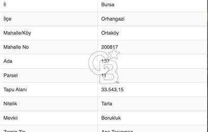 ORHANGAZİ,ORTAKÖY DE SANAYİYE YAKIN SATILIK YATIRIMLIK TARLA
