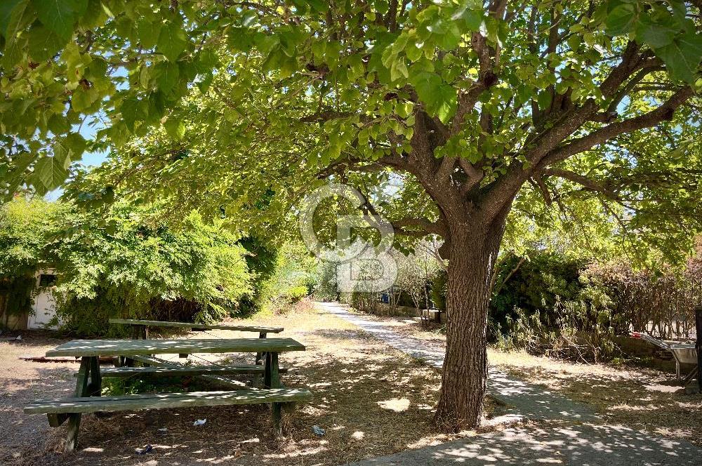 Urla Şirinkent Mah Doktorlar Sitesi Geniş Bahçeli Kiralık Villa