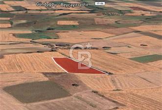 ÇANAKKALE BİGA KOZÇEŞMEDE SATILIK 3.000 m² TARLA - 1 - 368142