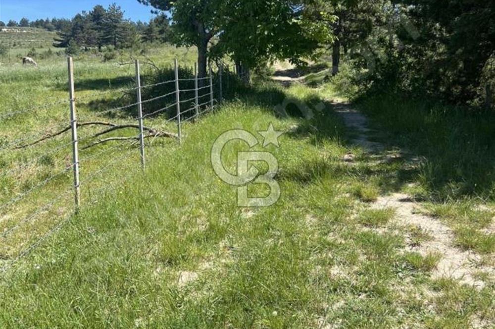 SAFRANBOLU SIRÇALI KÖYÜNDE SATILIK ARSA 