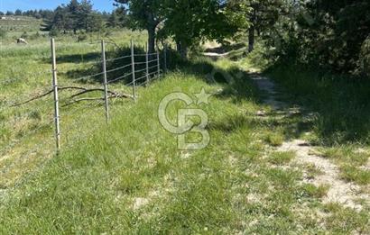 SAFRANBOLU SIRÇALI KÖYÜNDE SATILIK ARSA 