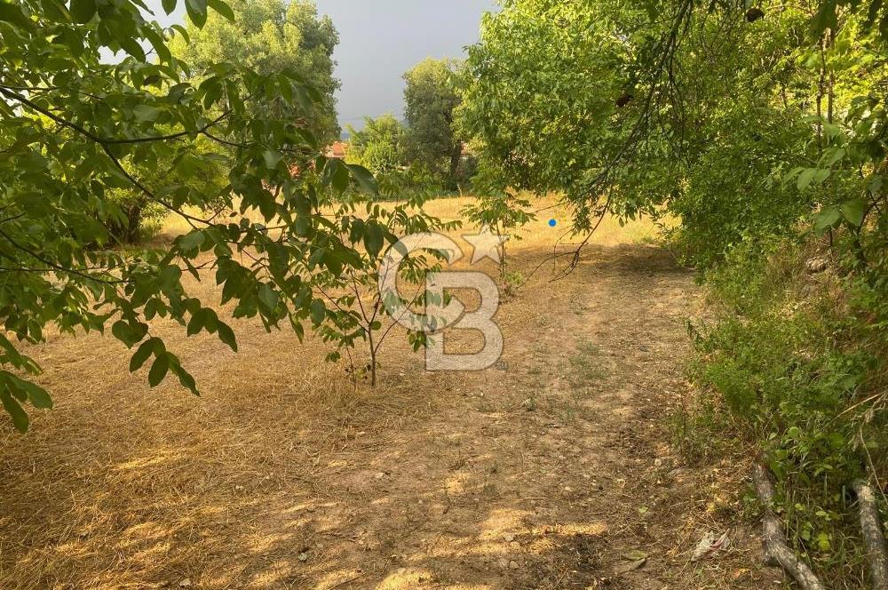 Aydın Bozdoğan Yükselen Değer Örencik Mükemmel İmarlı Arsa