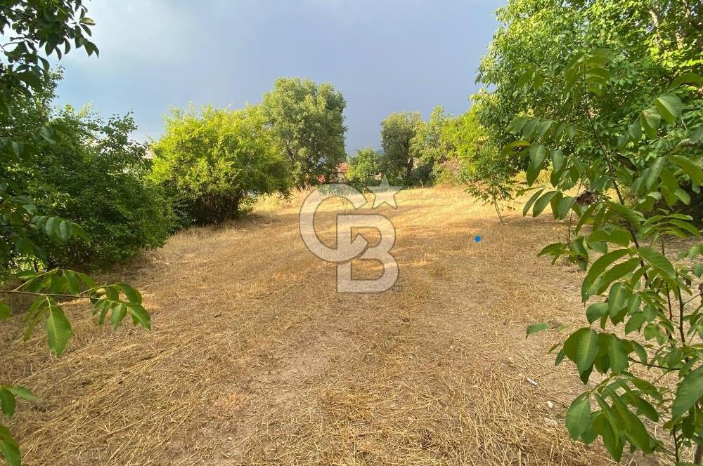 Aydın Bozdoğan Yükselen Değer Örencik Mükemmel İmarlı Arsa