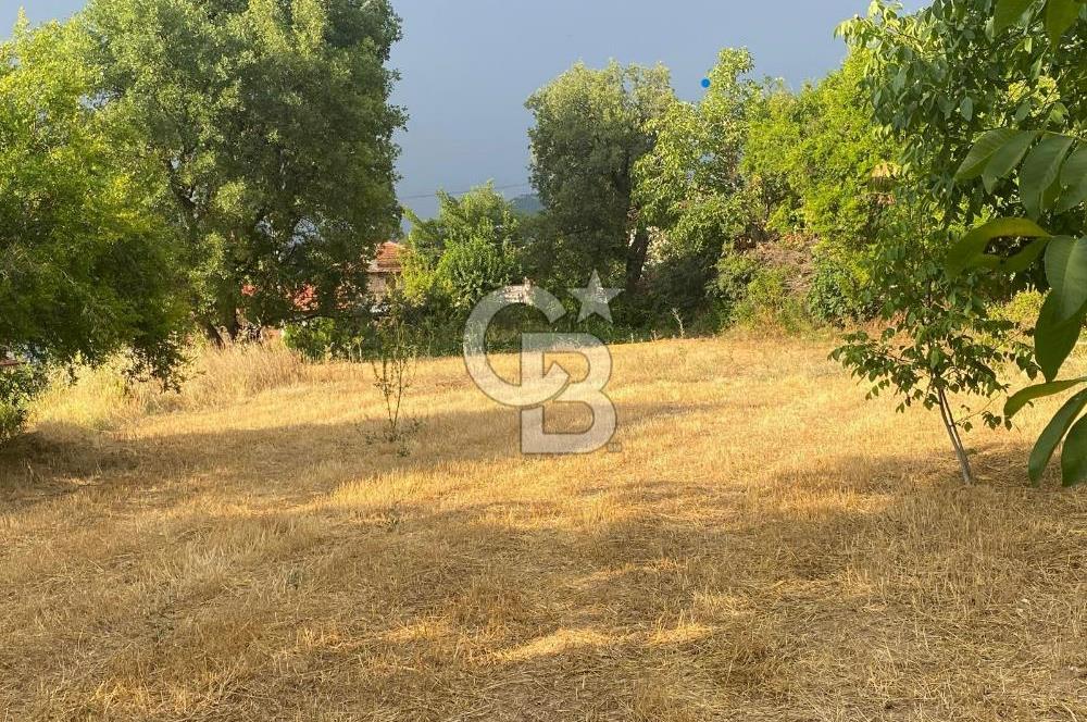 Aydın Bozdoğan Yükselen Değer Örencik Mükemmel İmarlı Arsa