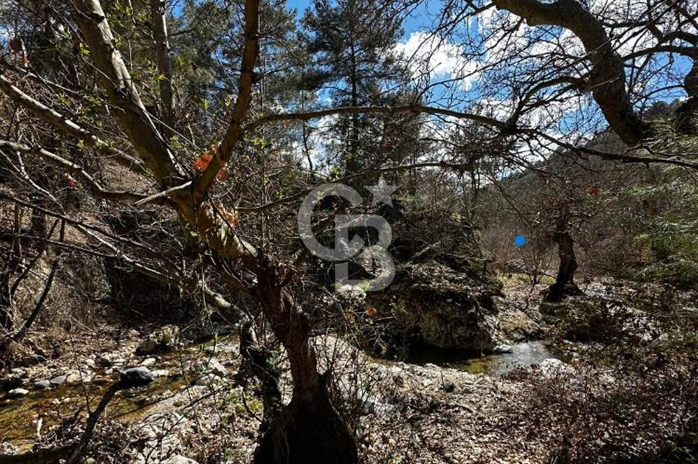 Manisa Demirci Yolu Olan 10.642 M2 Yatırımlık Satılık Tarla
