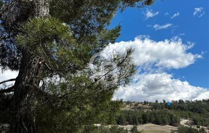 Manisa Demirci Yolu Olan 10.642 M2 Yatırımlık Satılık Tarla