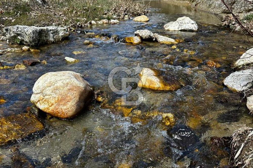 Manisa Demirci Yolu Olan 10.642 M2 Yatırımlık Satılık Tarla